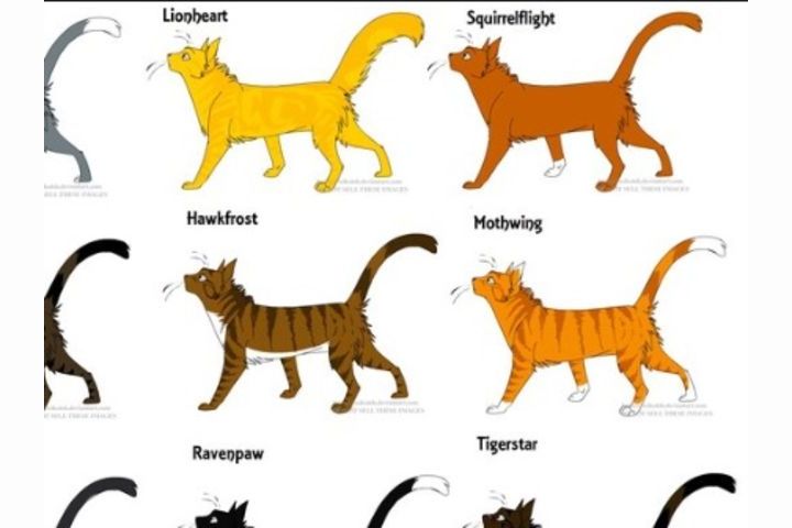 Warrior cats name quiz! : r/WarriorCats