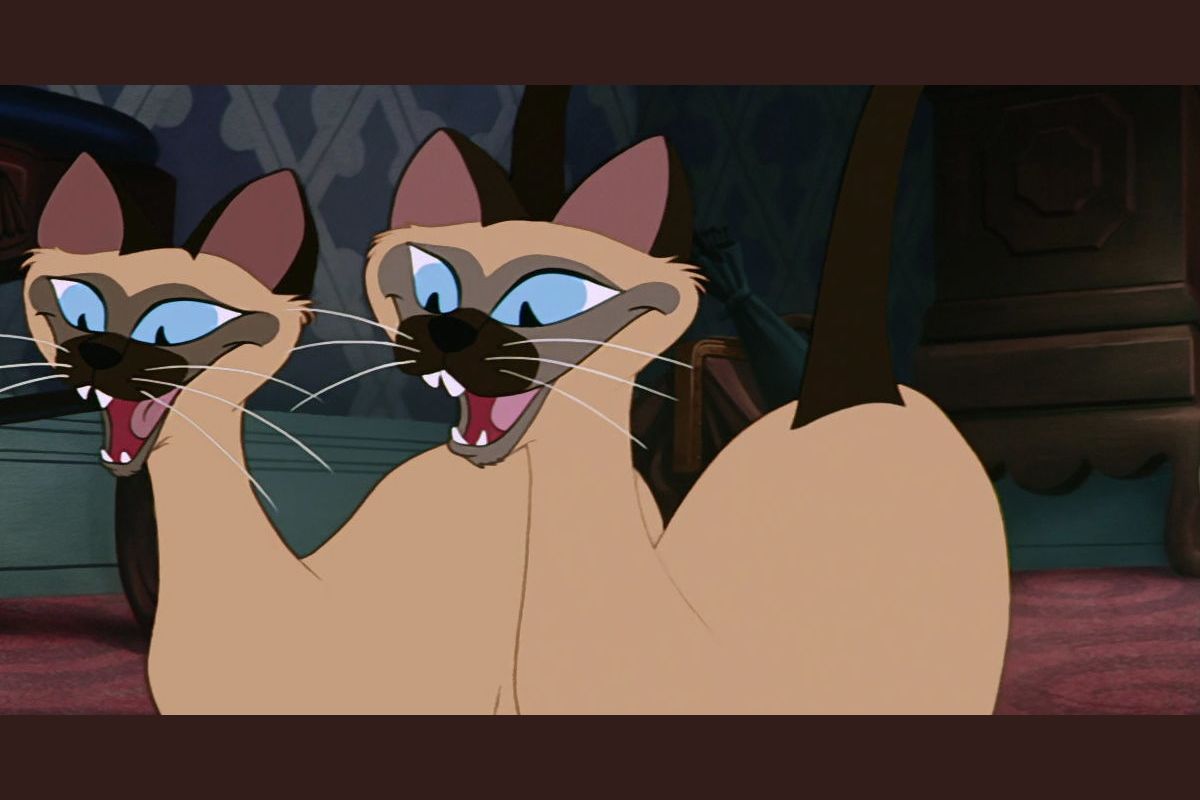 Which Disney Cat Are You?