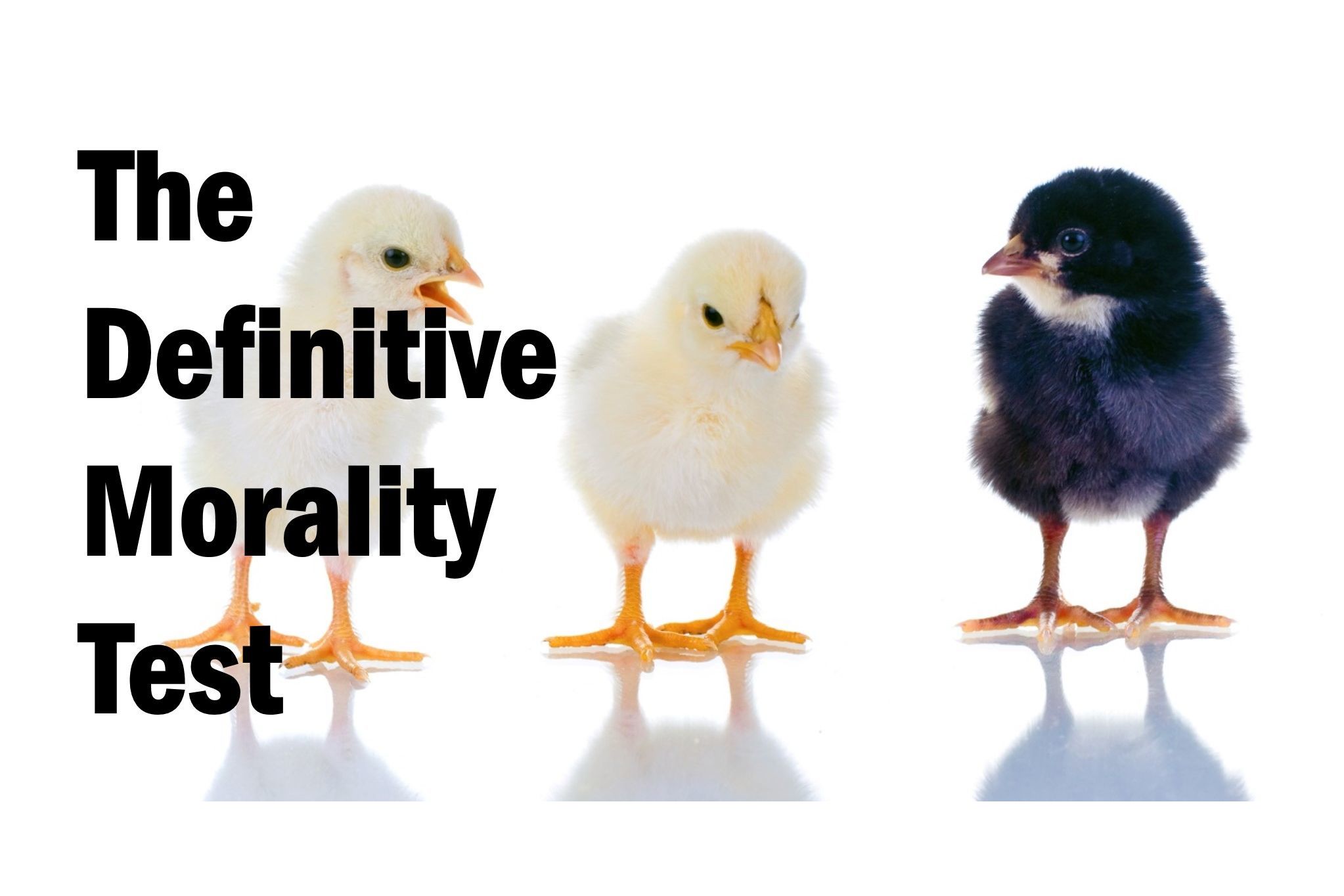 The Definitive Morality Assessment Test