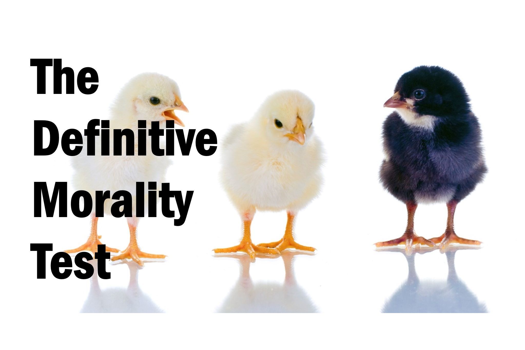 the-definitive-morality-assessment-test