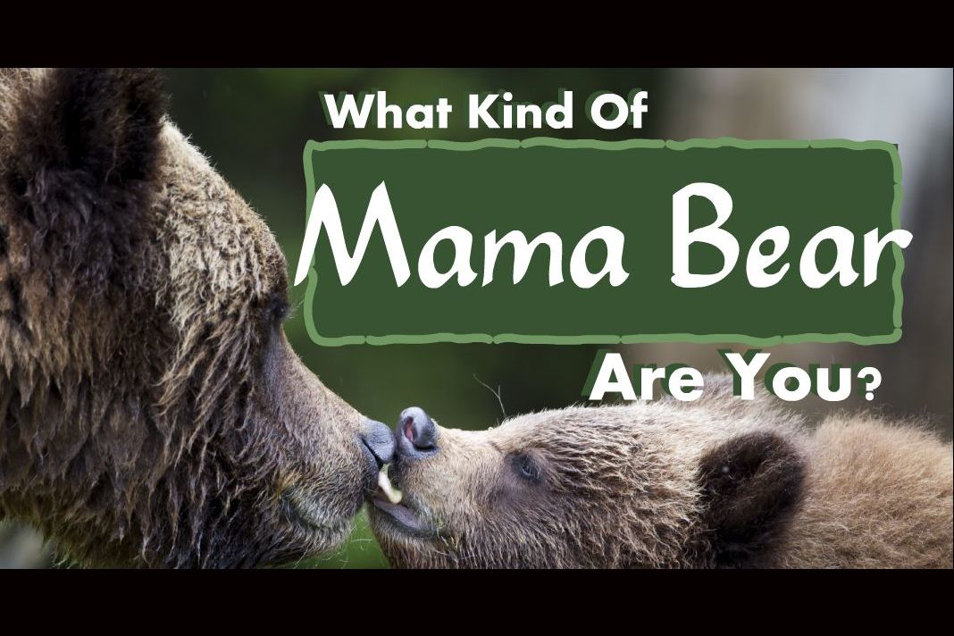 Use the 'Mama Bear' Technique to Stop Being a Pushover