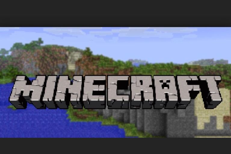 What Minecraft Charecter Are You
