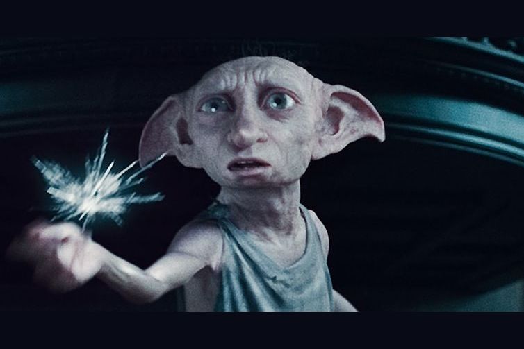 dobby set free