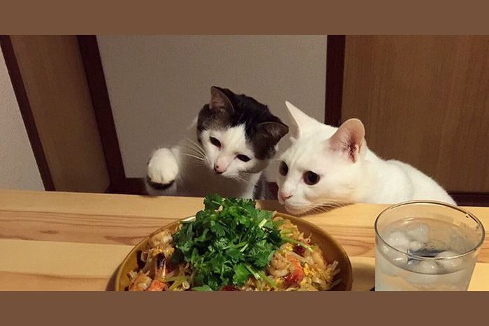 This Japanese Couple Perfectly Captured What Its Like To Eat In Front