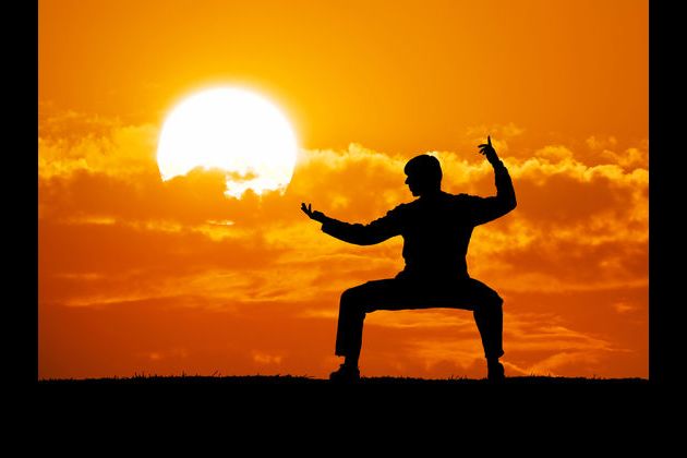 What Martial Arts Style Should You Learn There are many reasons in favor of allowing your child to learn kids' martial arts. what martial arts style should you learn