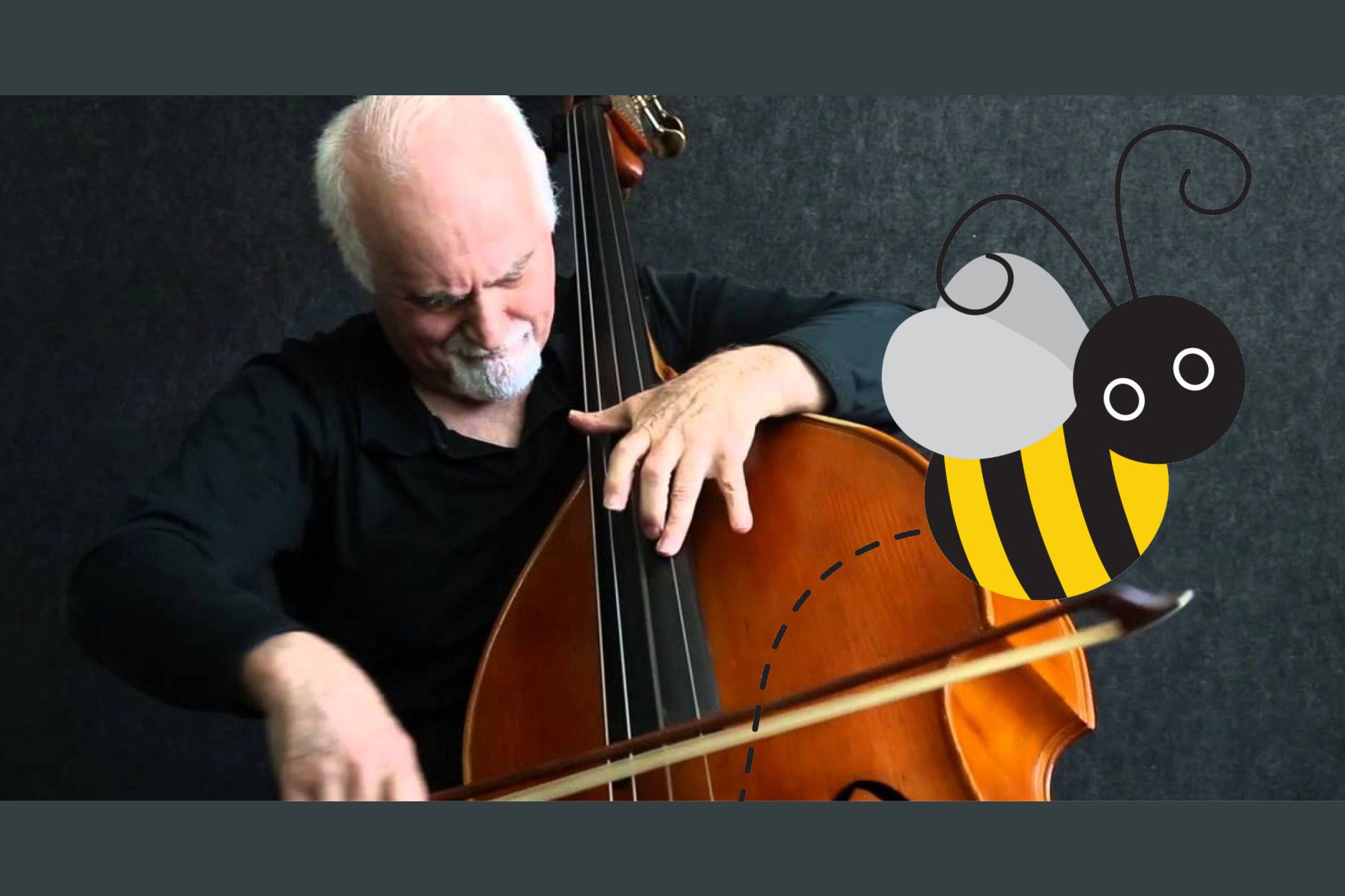 Why does this video of a double bassist have the divided?