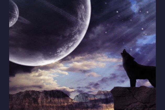 If You Were An Alien Wolf Which Planet Would You Live On