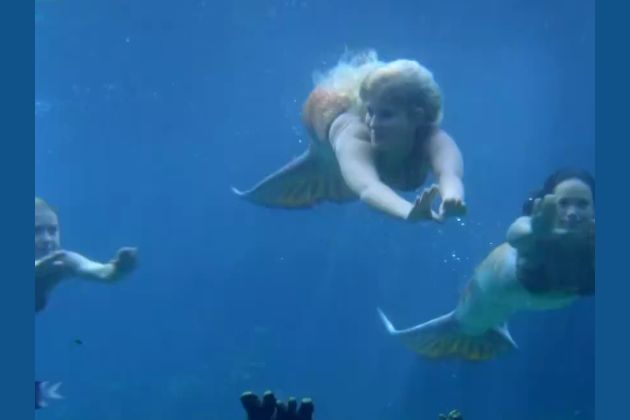 Sirena sings 🎤  Mako mermaids 