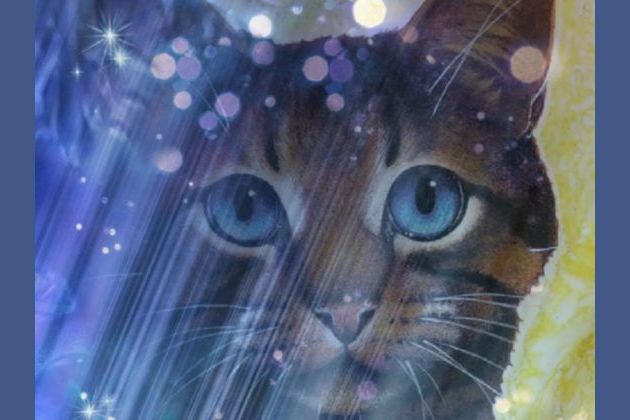 Find Your Warrior Cat Name With This Amazing Quiz - ProProfs Quiz