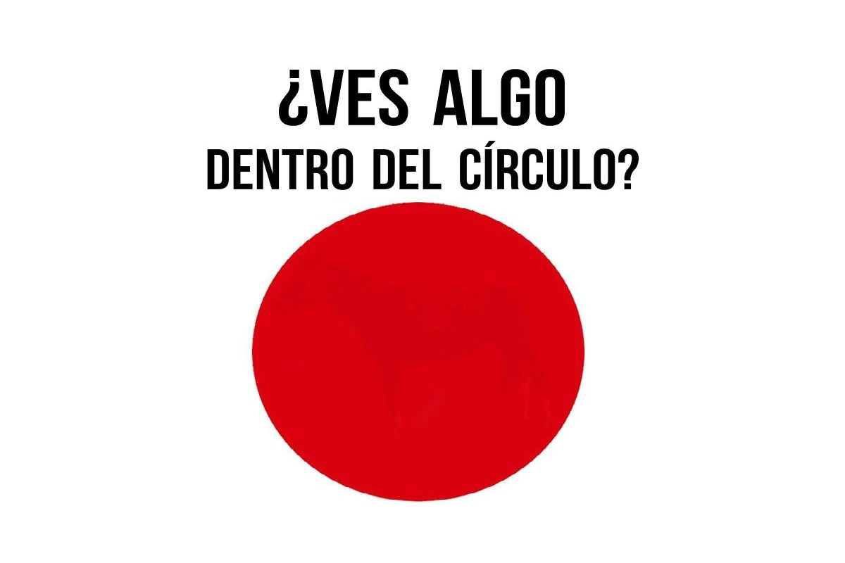 Sólo ciertas personas pueden ver la imagen oculta dentro esta prueba visual