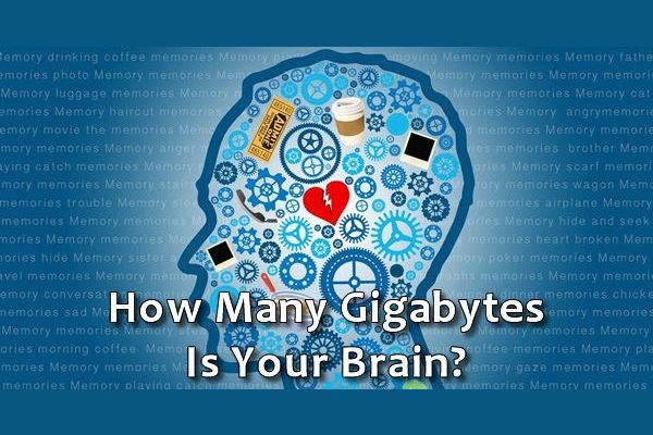 How Many Gigabytes Is Your Brain?