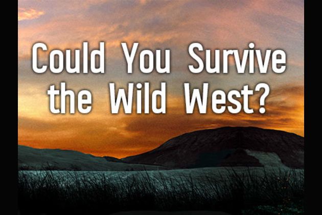 How to Survive the Wild West 