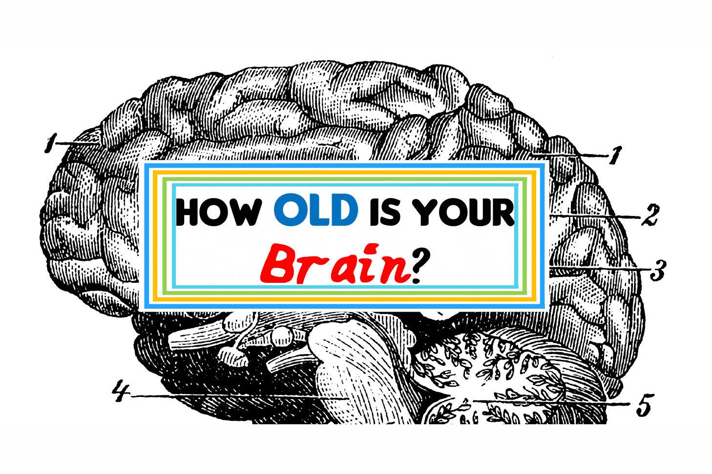 Brain old. Brain age. Мозг в йоге.