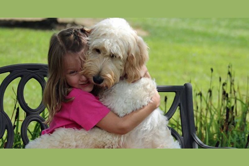 Are you a dog hater or dog lover?