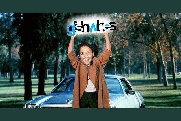 What Kind of GIShWHES Participant are You?