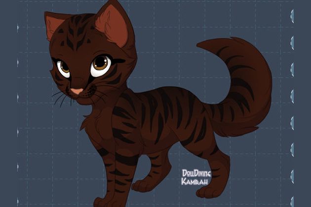 What Warrior Cat Are You