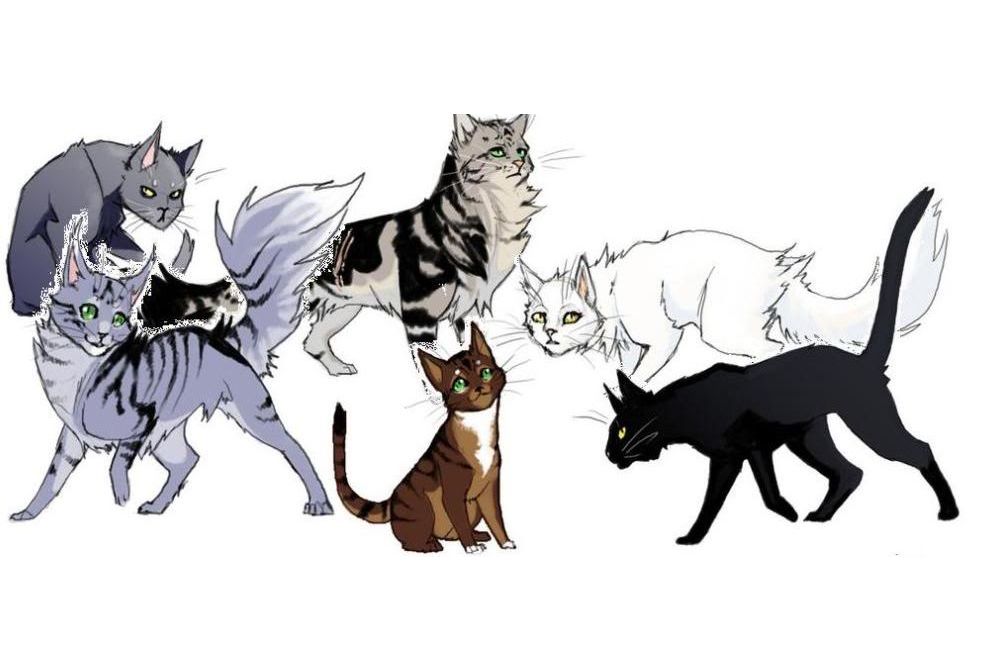 Warrior cats clans. Коты Воители @WOOFYDRAGON. Клан для кошек. Warrior Cats OC Generator. Warrior Cats name Generator.