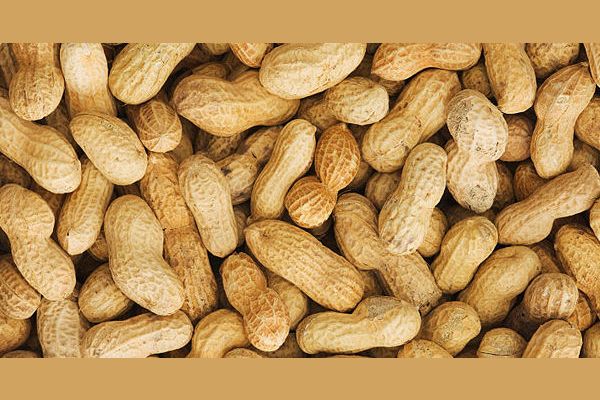 are-you-allergic-to-peanuts-tree-nuts