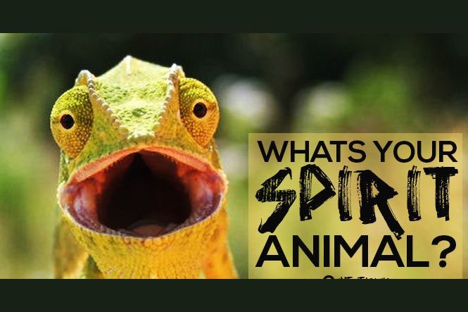 What Is Your Spirit Animal?