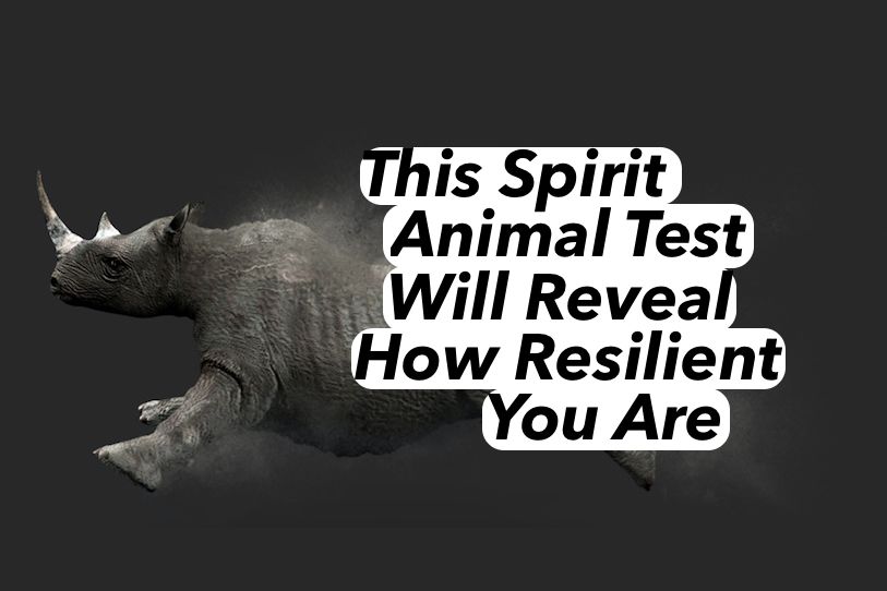 This Spirit Animal Test Will Determine How Resilient You Are   00ea6833 1164 4a4d B9c5 1ed6f3197af6 