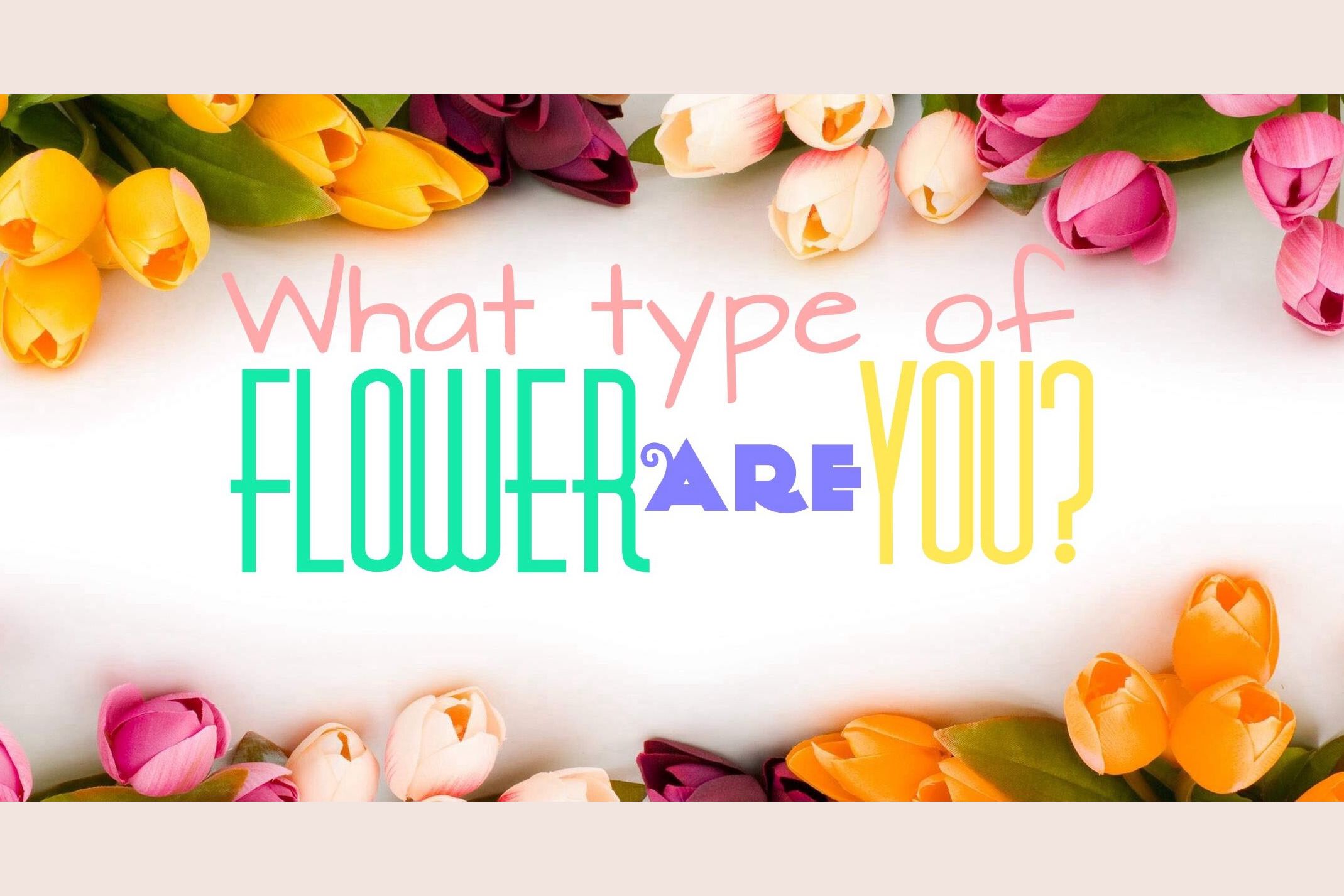 What Type Of Flower Are You?