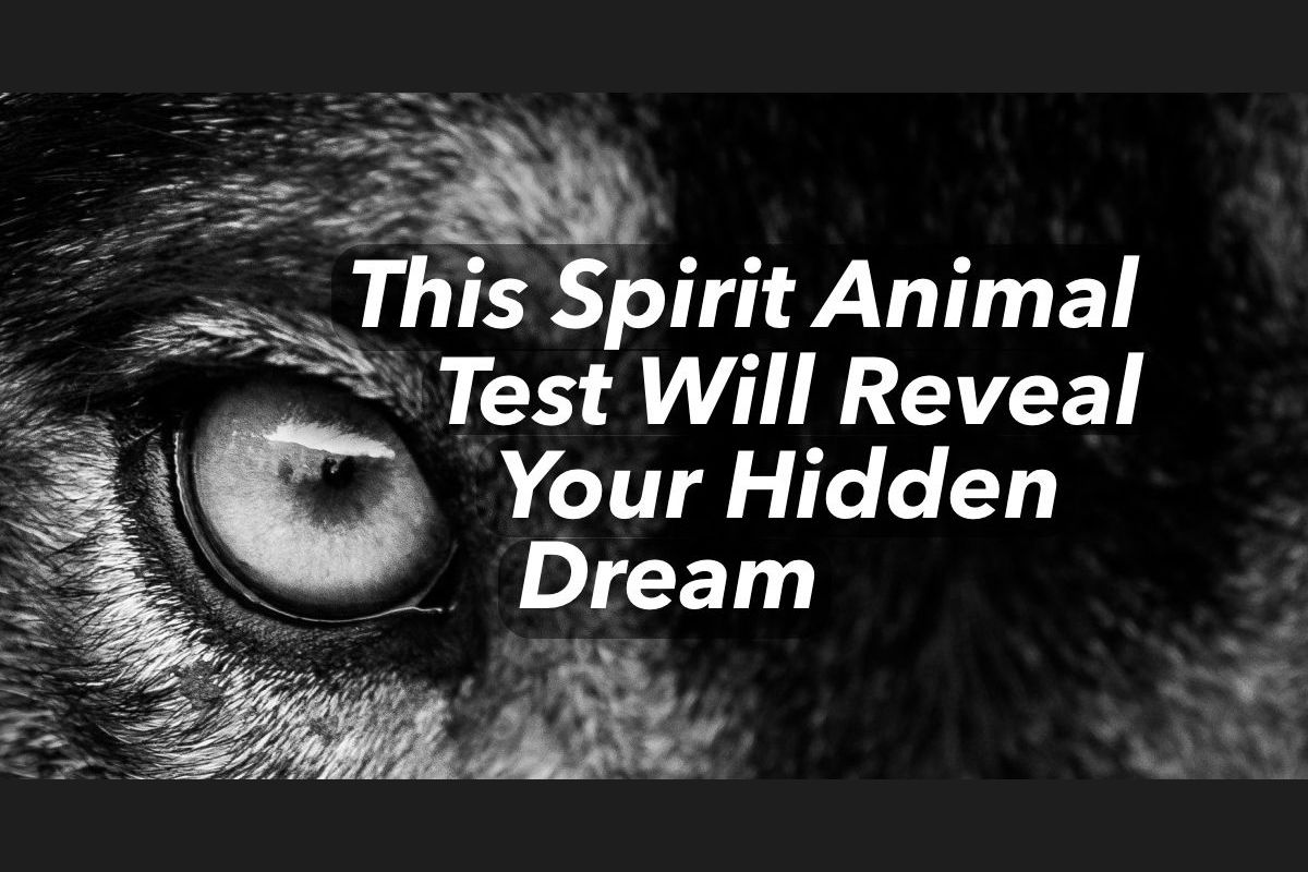 This Spirit Animal Test Will Reveal Your Hidden Dream