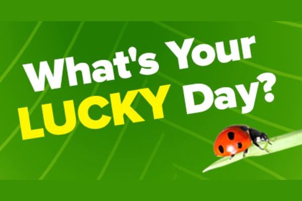 where's the gold free