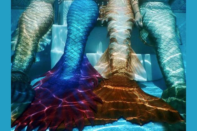 What Color is Your Mermaid Tail?