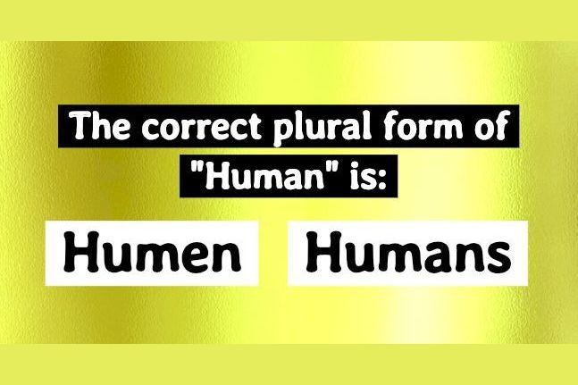 this-elementary-plural-forms-test-is-driving-the-internet-crazy