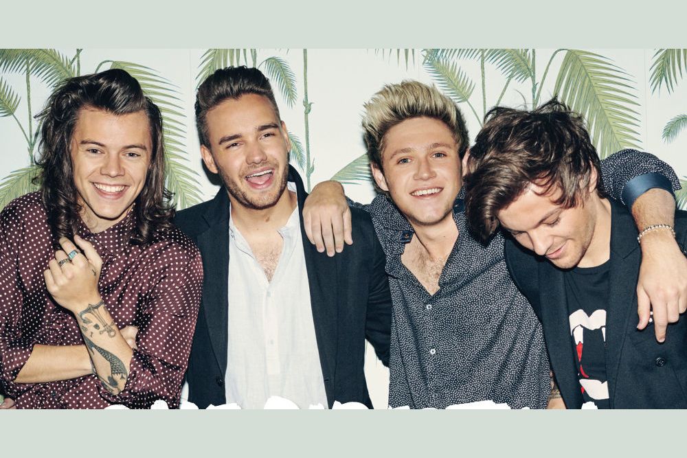 Which One Direction Member Should You Marry?