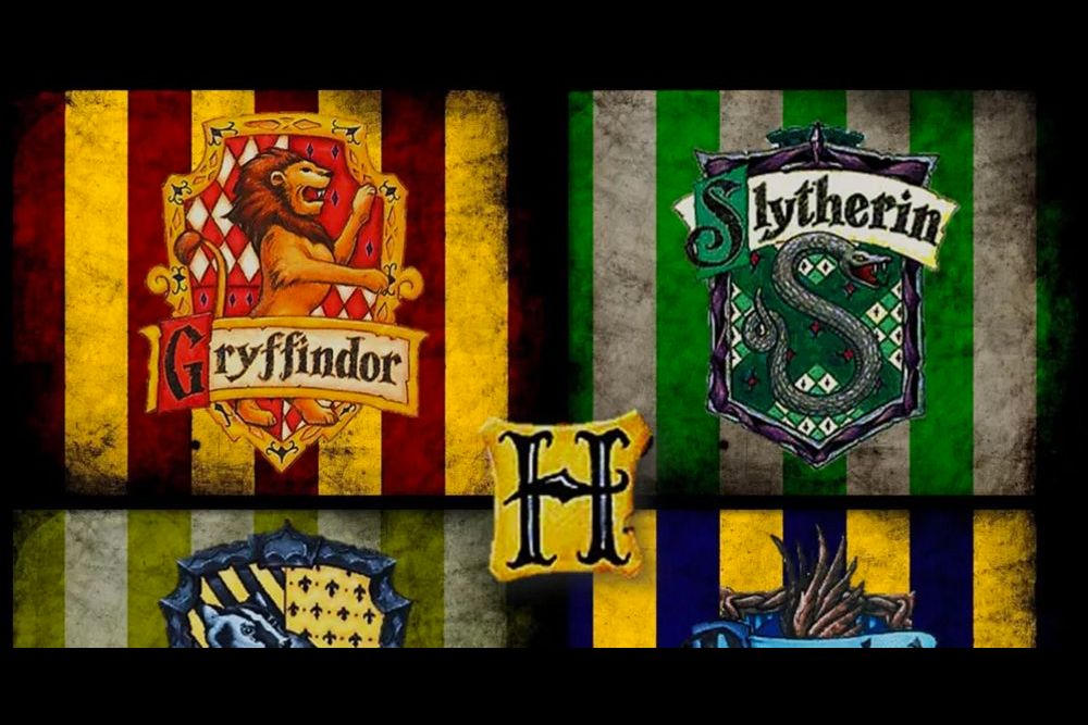 Which Hogwarts House are you in