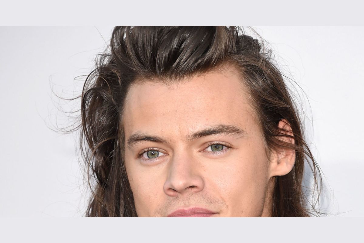 What do you know about Harry Styles?