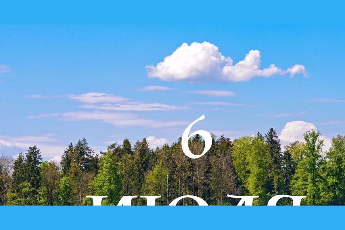 6 июля