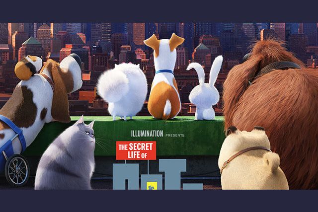 What secret life of pets character are you?