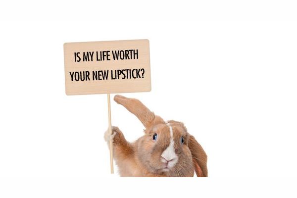 Animal Testing Agree Or Disagree - Persuasive - ENG 101X College Writing