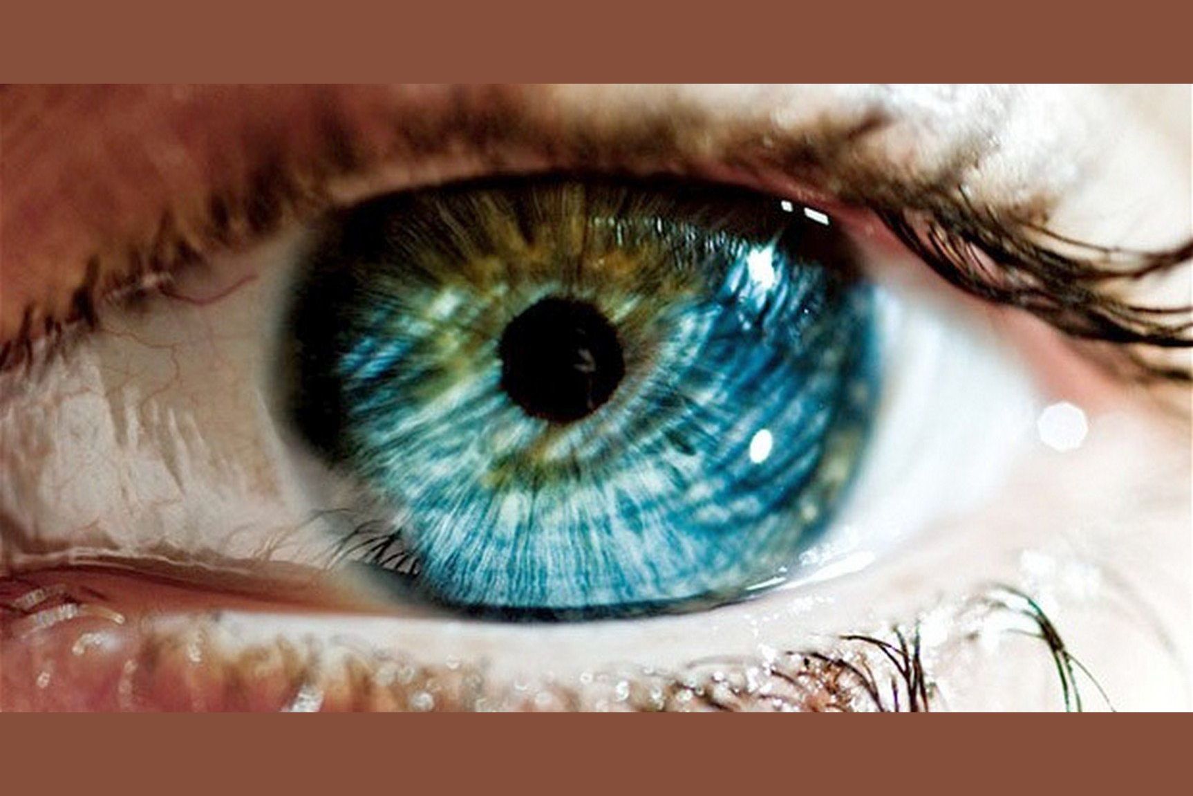 Пестрые глаза. Цвет глаз. Синие глаза. Зелёно-голубые глаза. Сине зеленые глаза.