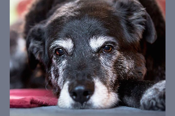 Басқа біреудің әйелімен үштік жыныстық қатынас