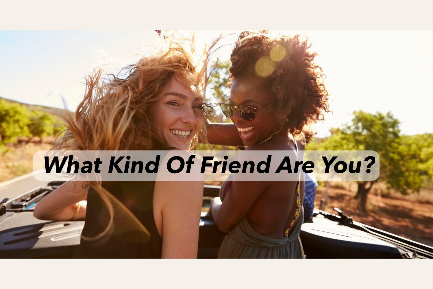 What Kind Of Friend Are You?