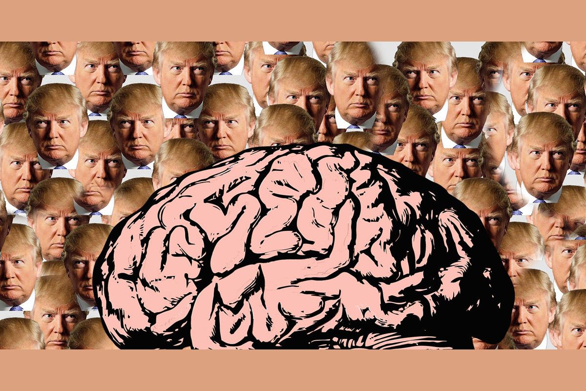 Are you a stable genius?
