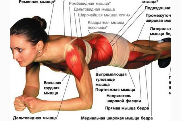 10 видов эффективного упражнения "Планка"
