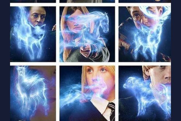 What Animal is Your Harry Potter Patronus?
