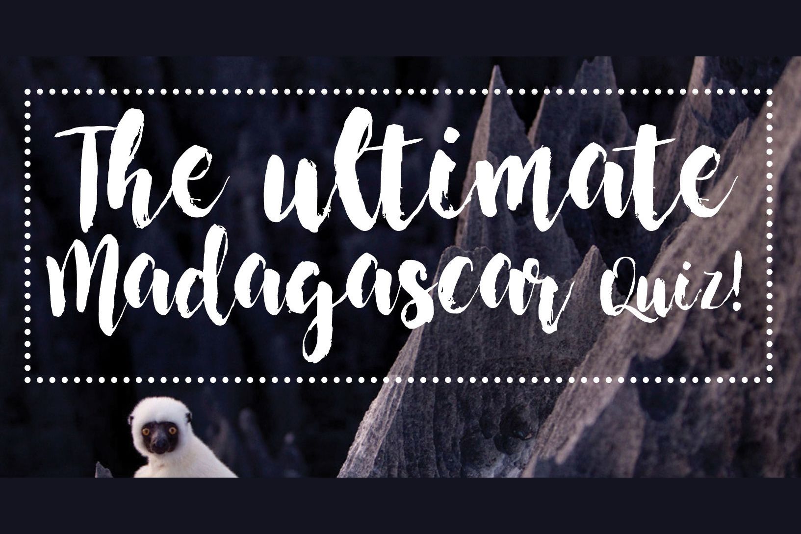The Ultimate Madagascar Quiz for volunteers and travel lovers!