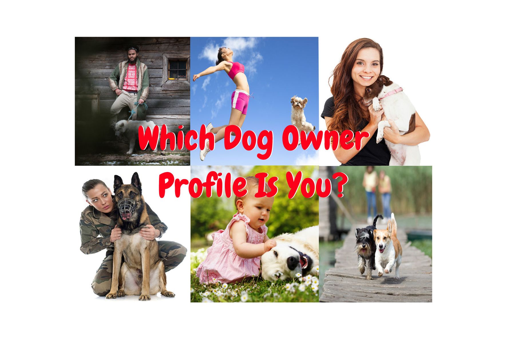 Which Dog Personality Are You Really Meant to Own?