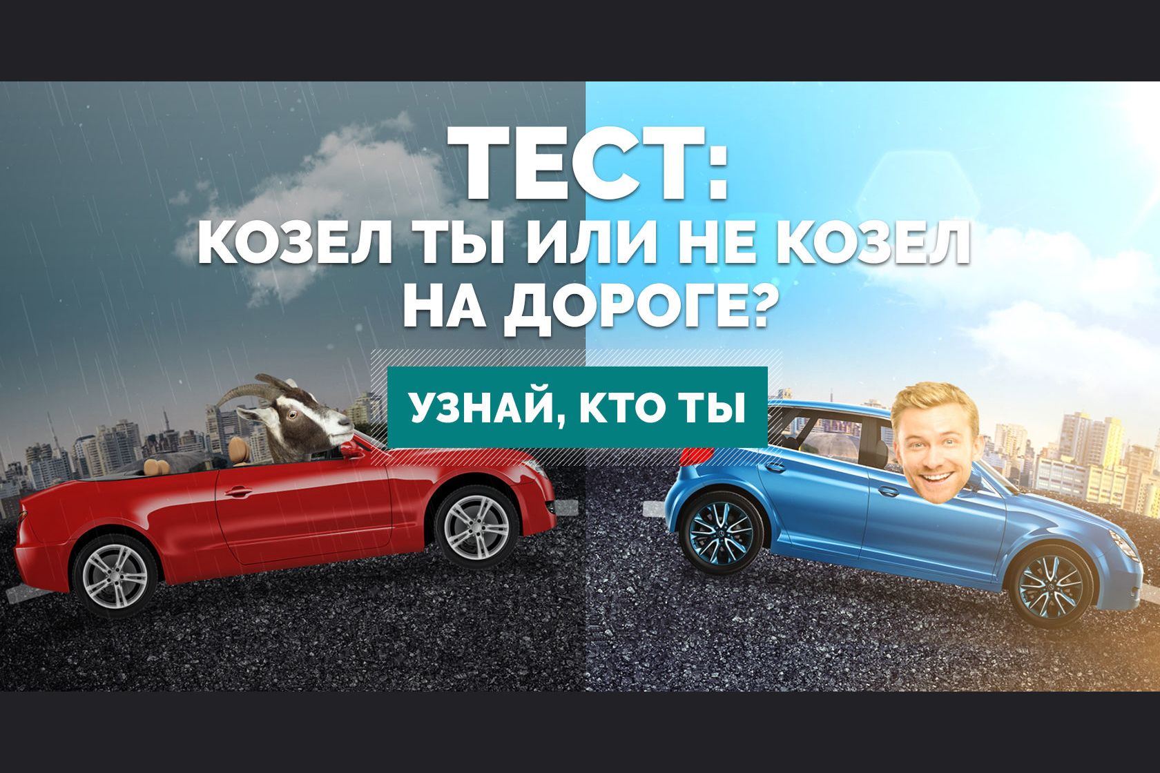 Самый важный тест. Козел ты или не козел на дороге?