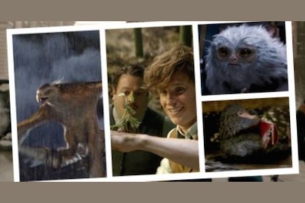 'Fantastic Beasts': Which Magical Creature Are You?