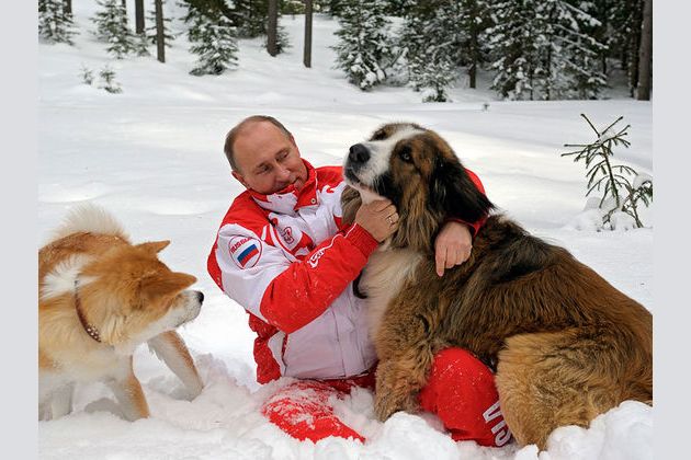 У собаки Владимира Путина во Владивостоке нашлась родственница