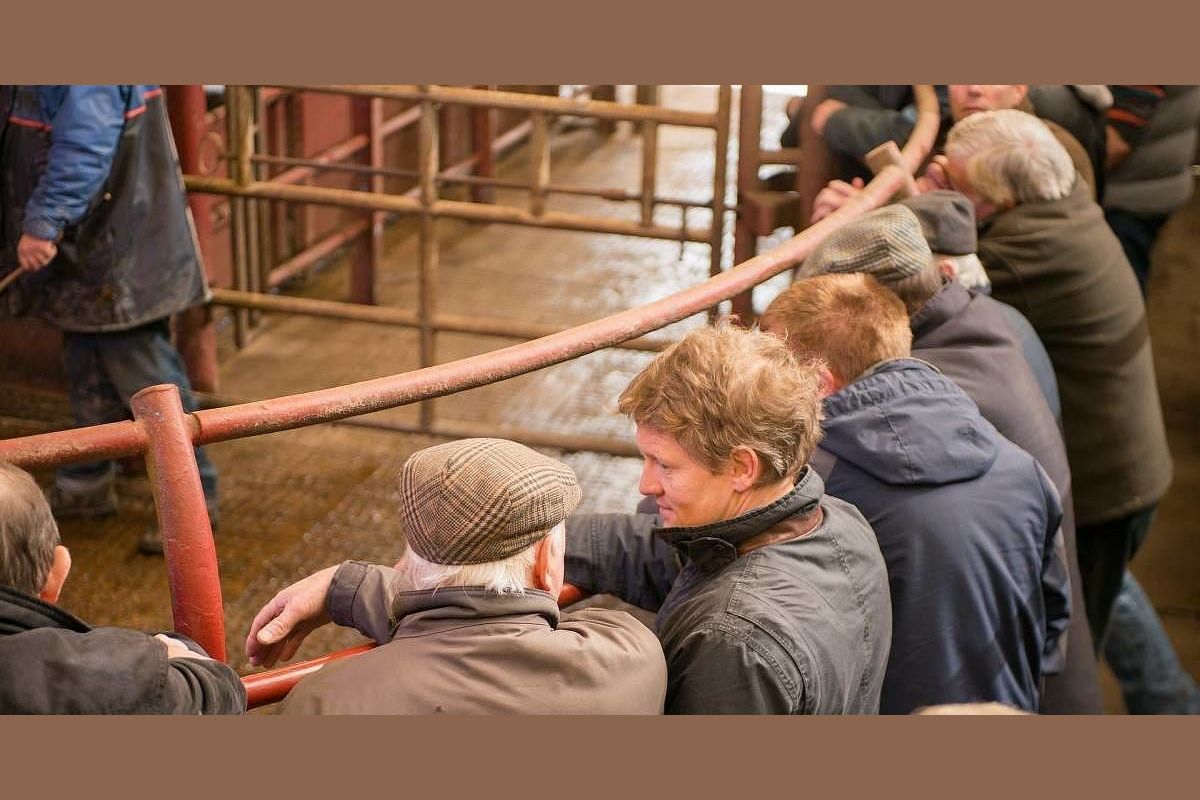 Are you a true Cattle Dealer?