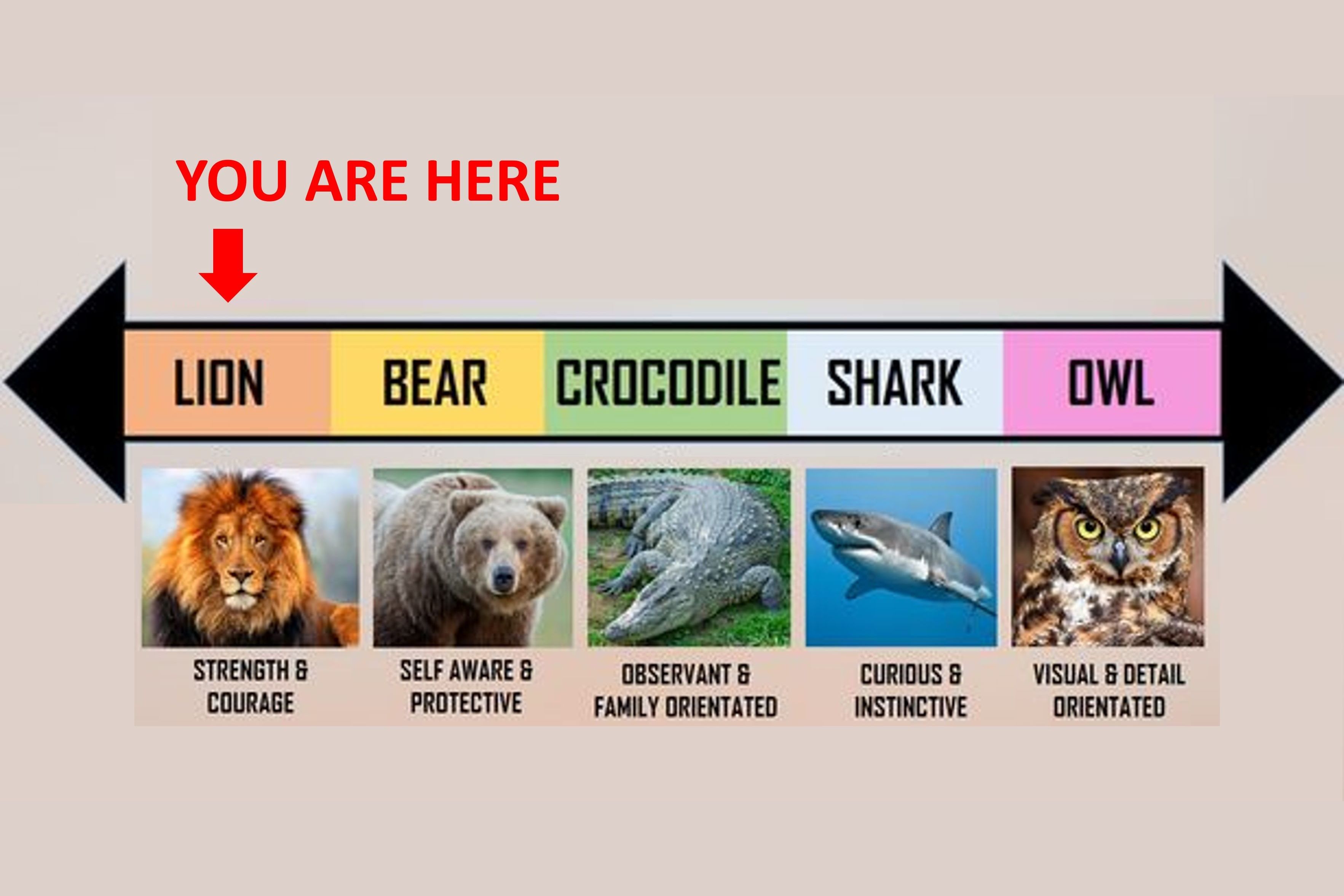 Find out now. Scale animal. Animals personality Types. Mood Scale animals.