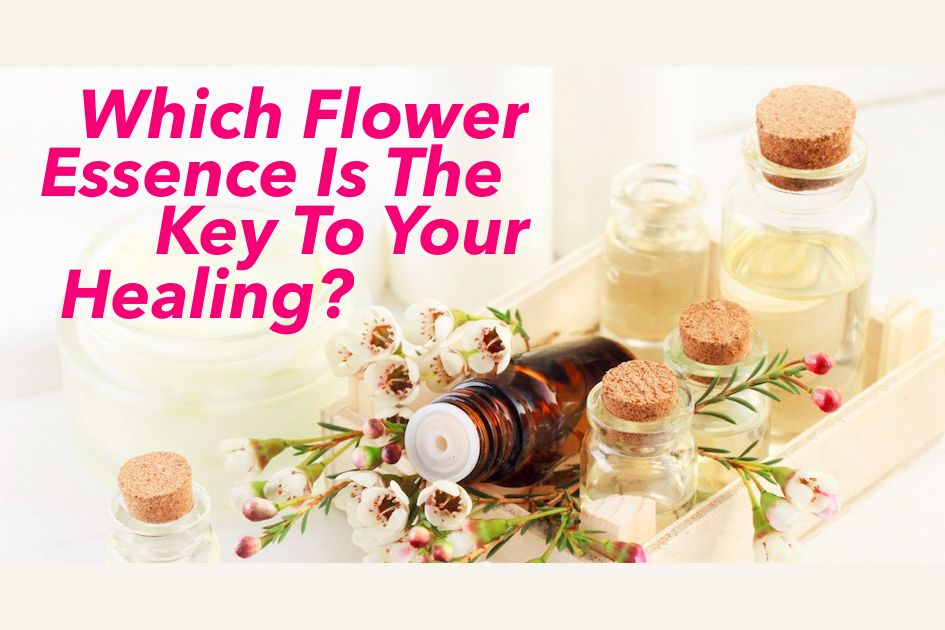Which Flower Essence Is The Key To Your Healing?