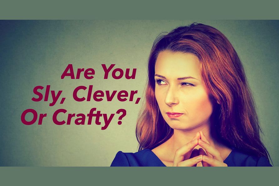 Are You Sly, Clever Or Crafty?